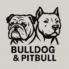Bulldog & Pitbull Puppies